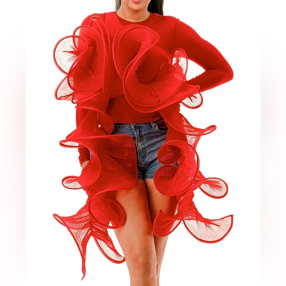 2PCs Mesh and Swirl Sculptural Statement Top